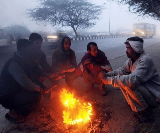 North India shivers as cold wave grips Delhi, Punjab, Himachal and other states | Check forecast for your state here